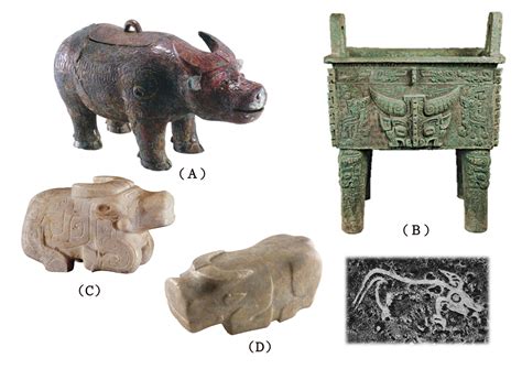 古代犀牛|甲骨文的「兕」與古代中國的犀牛、聖水牛